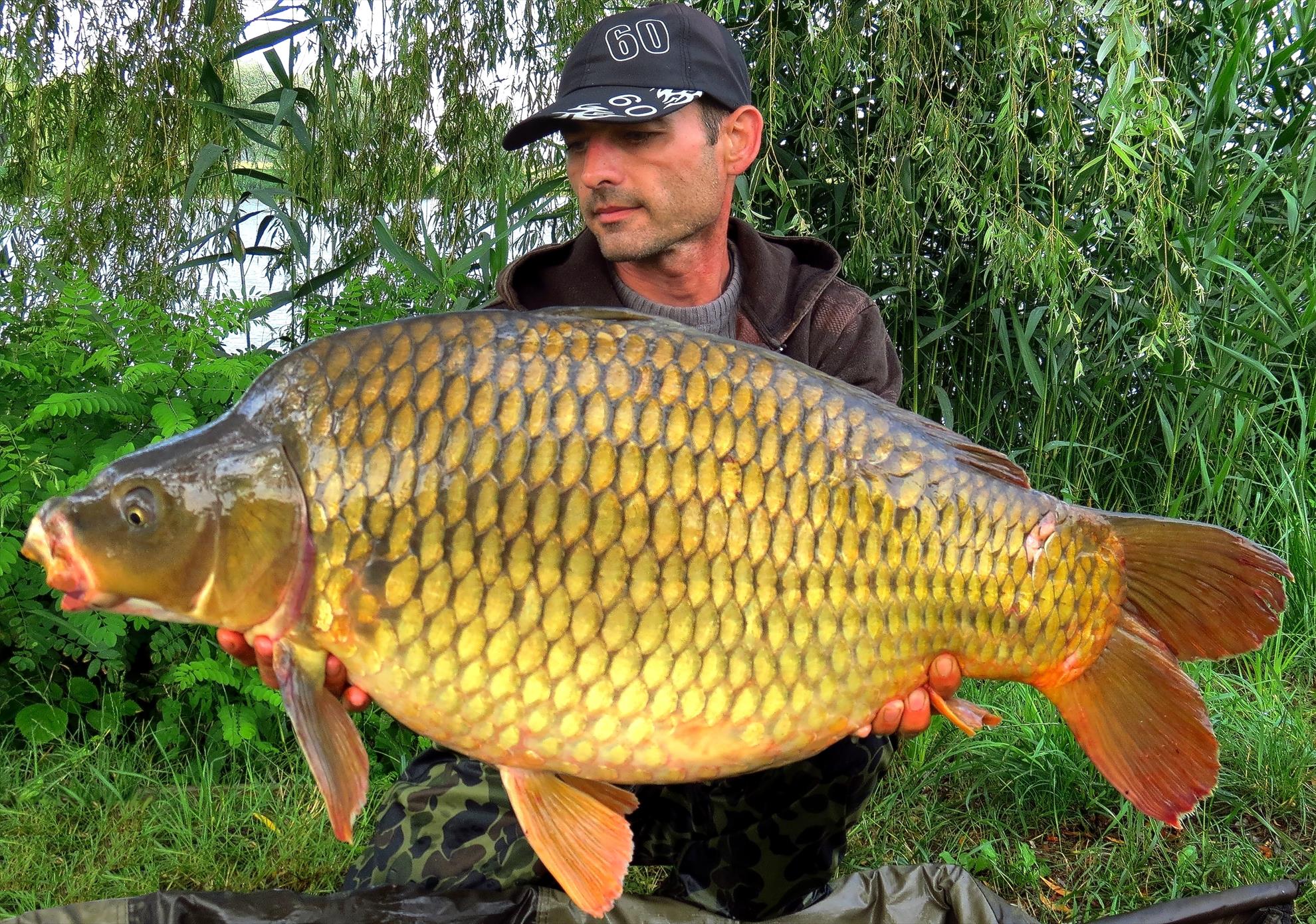 Palici - 003---img5545-1528-f.jpg